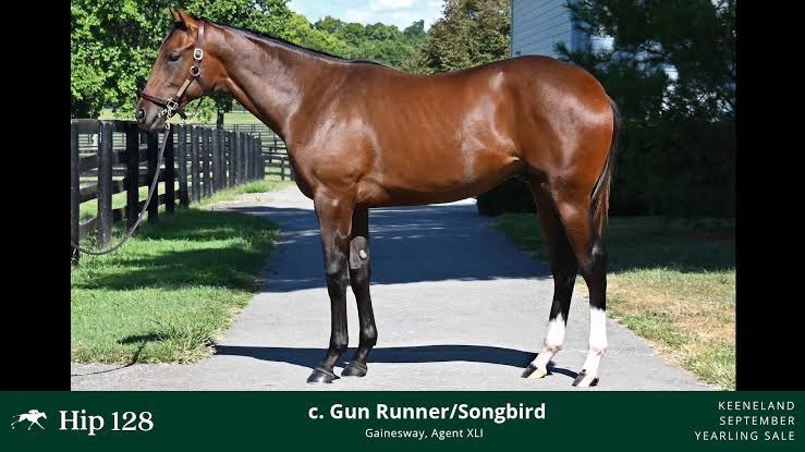 TomRyanKY's tweet image. Now Named:

MENDOZA 🏈@HeismanTrophy

Fernando Mendoza is a star in the world's most American sport. An incredibly talented young man who can inspire millions of young @NFL fans.

I had been searching for a name for our Gun Runner colt out of champion SONGBIRD. When I watched…