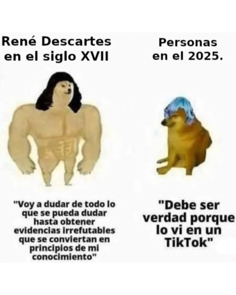 jezucrihto xd tweet media