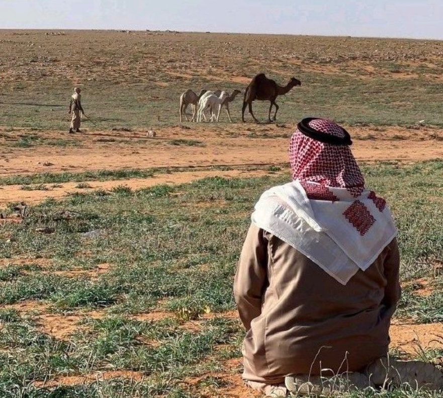 M3kkaz's tweet image. عسى نقبل ونقفي وحنا عزاز نفوس
وعسى من يظن فينا لقانا على ظنه .