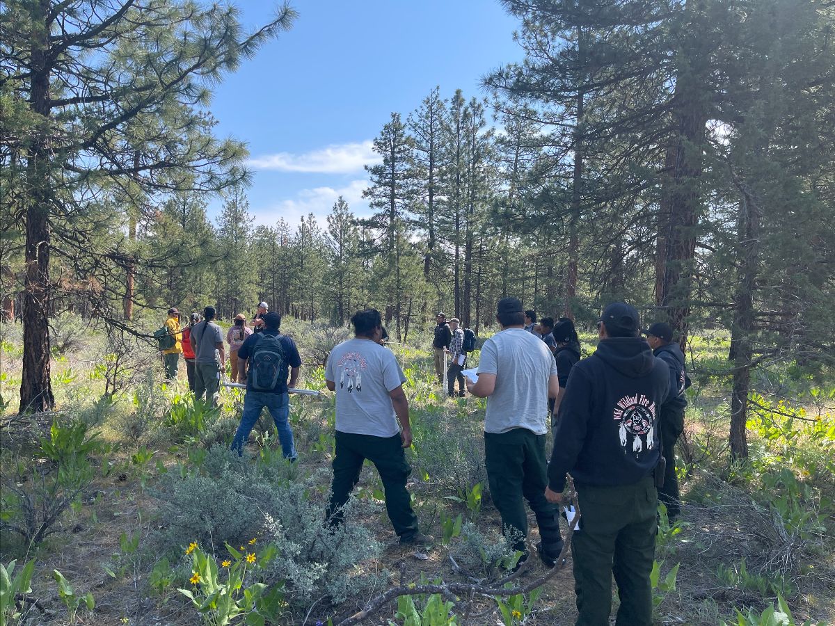 NW Fire Science Consortium tweet media