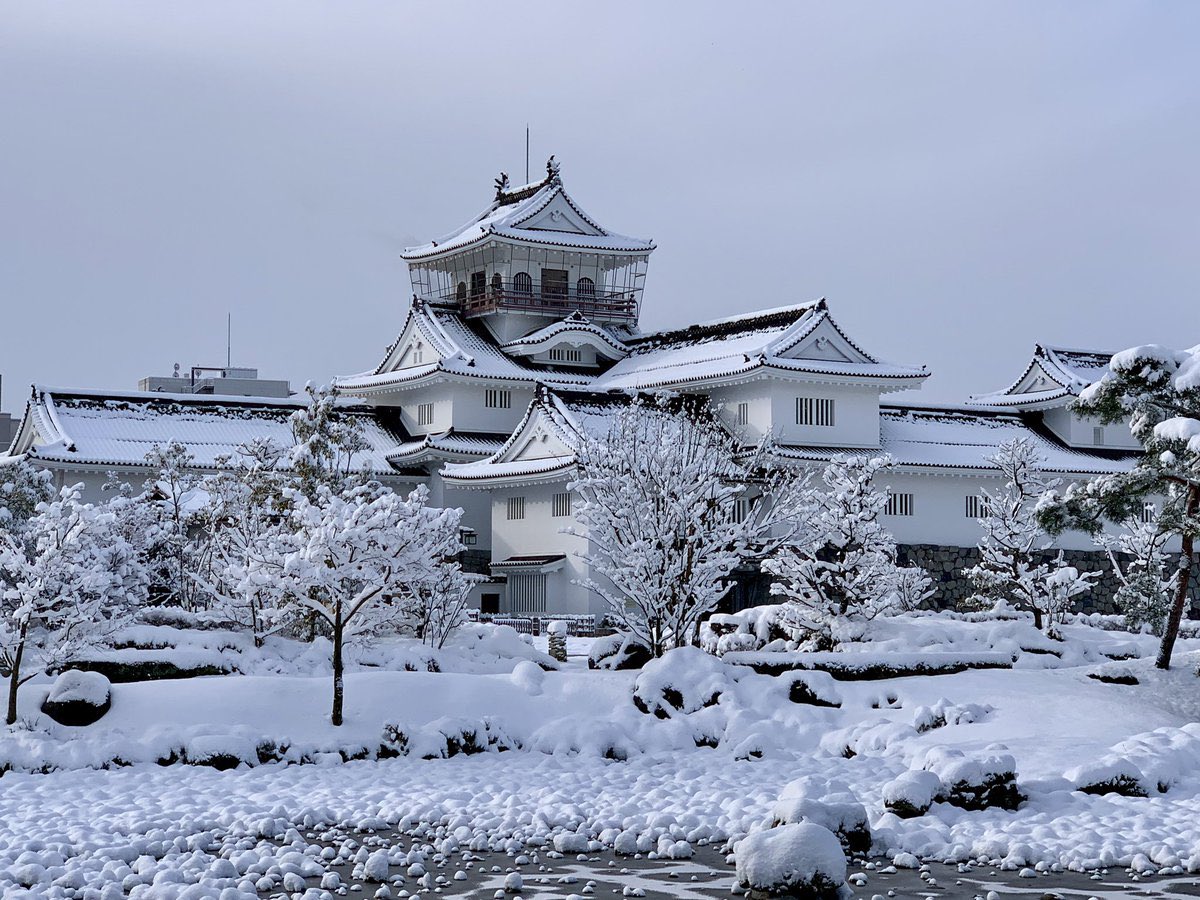 The first snow in my city, Japan❄️🇯🇵😄