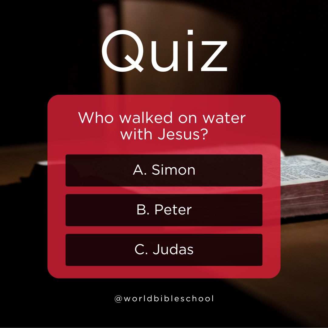 World Bible School tweet media