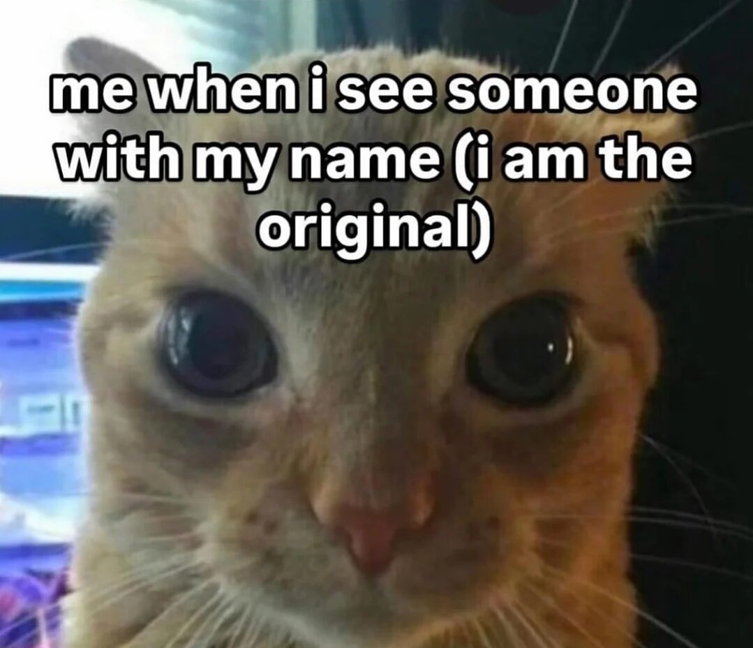 Catsillyness's tweet photo. https://t.co/WvlZmkd7MY