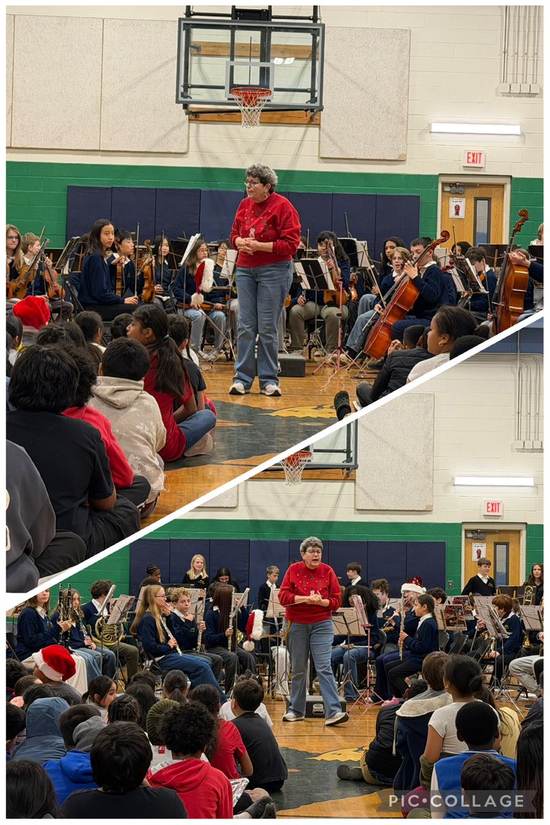 Tara Strain tweet media