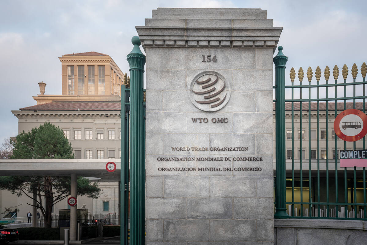 WTO chair rules out reform deal at next major meeting, document shows. vist.ly/4ix3t