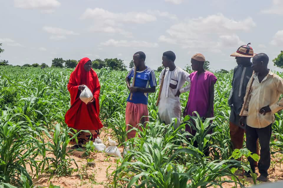 HarvestPlus's tweet photo. 🚀 From release to commercialization in one year.
We are excited that the 2025 GAP Report highlights our work to accelerate access to biofortified crops.
📄 Discover the full story in the GAP Report:
https://t.co/EyEy7N2Fkh
#HarvestPlus #GAPReport #FoodSystems #NutritionSecurity https://t.co/cVQNYMlDnT