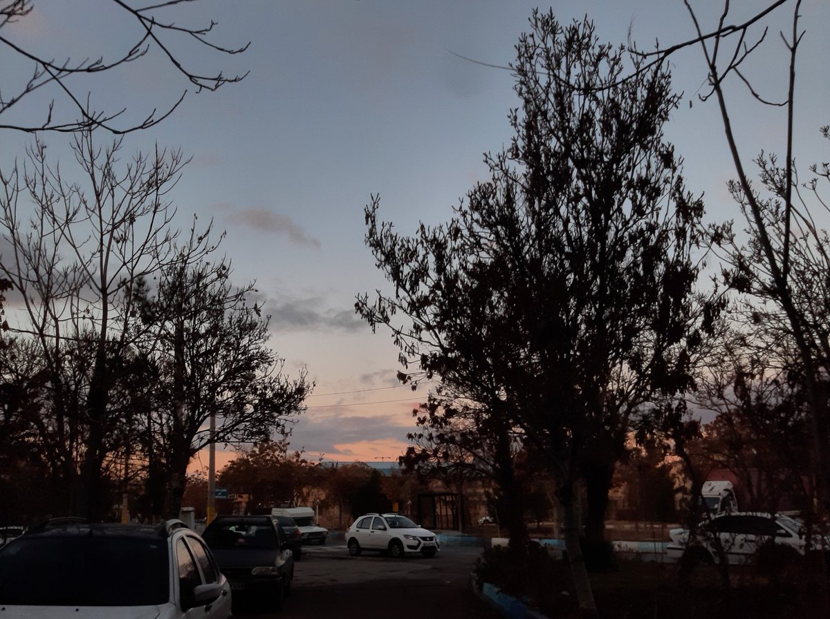 Purpleside14's tweet image. D-198 unitl the exam 
I met my friend todayᥫ᭡, went to the hospital to visit my cousin, and studied at the library. Such a random day. ‹𝟹