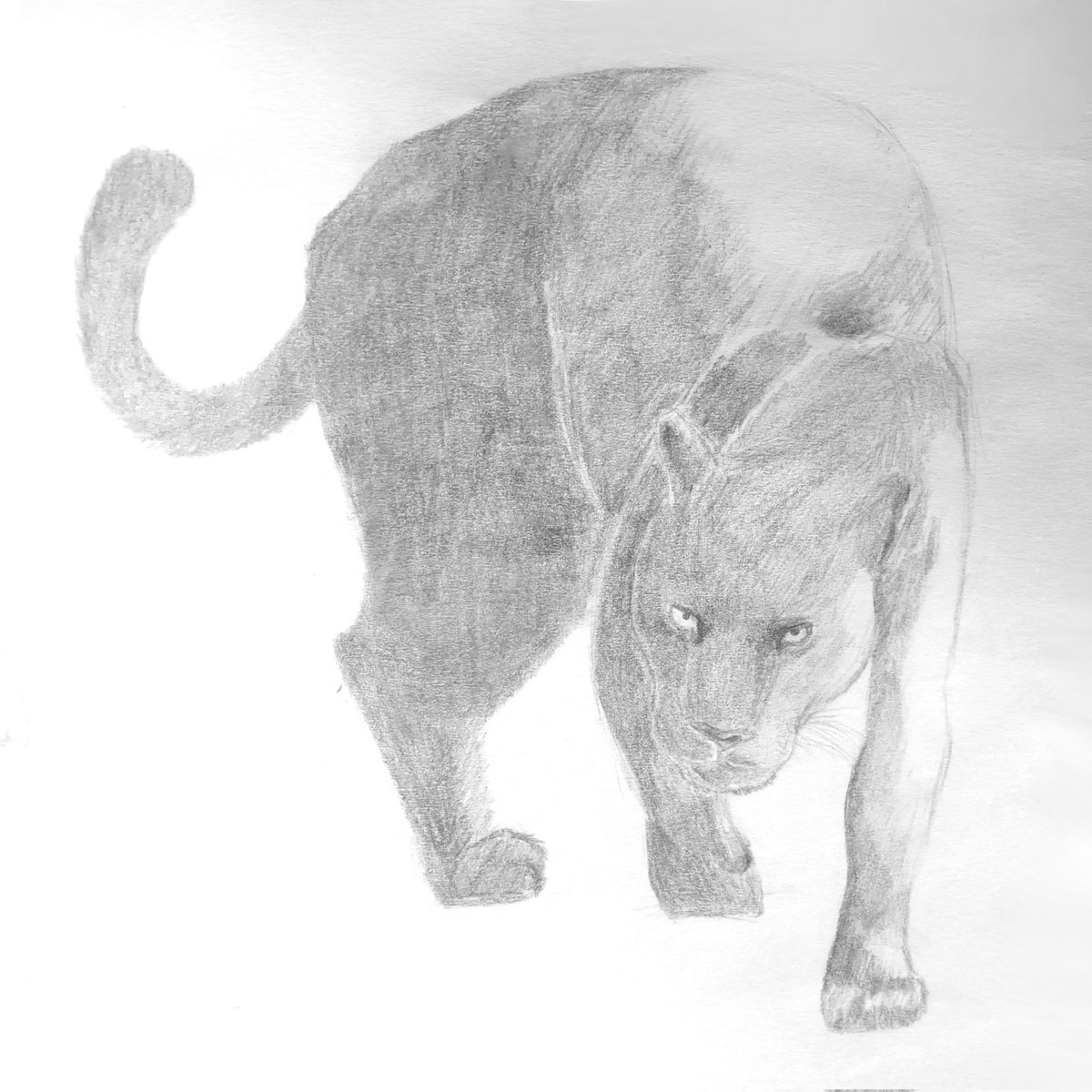 It's been a while since I posted here