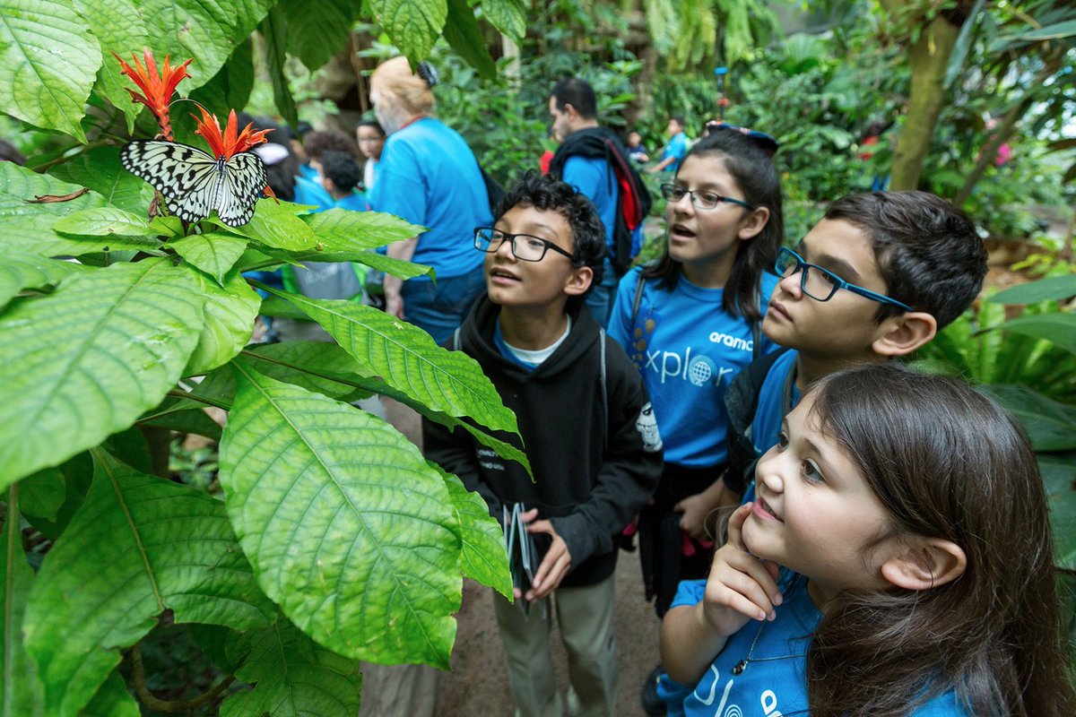 Aramco Americas tweet media