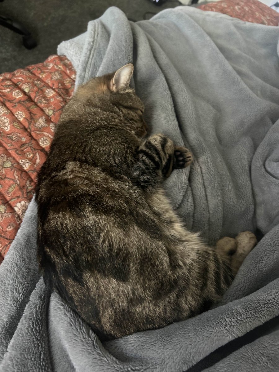 pseudonight's tweet image. why he sleep like that?