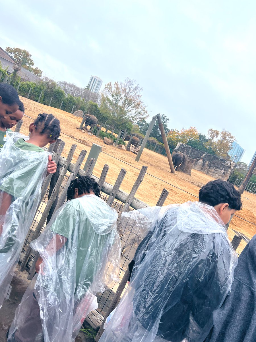 Charnesia Wynn, M.Ed tweet media