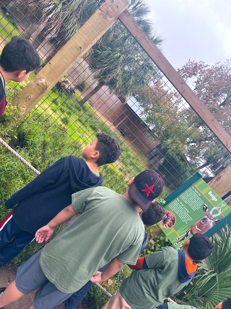 Charnesia Wynn, M.Ed tweet media