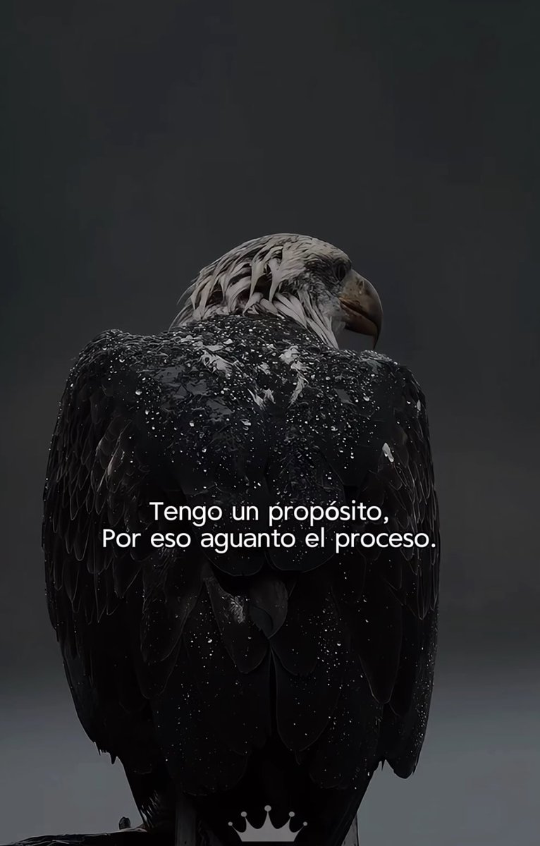 Disciplina (@eligedisciplina) on Twitter photo 