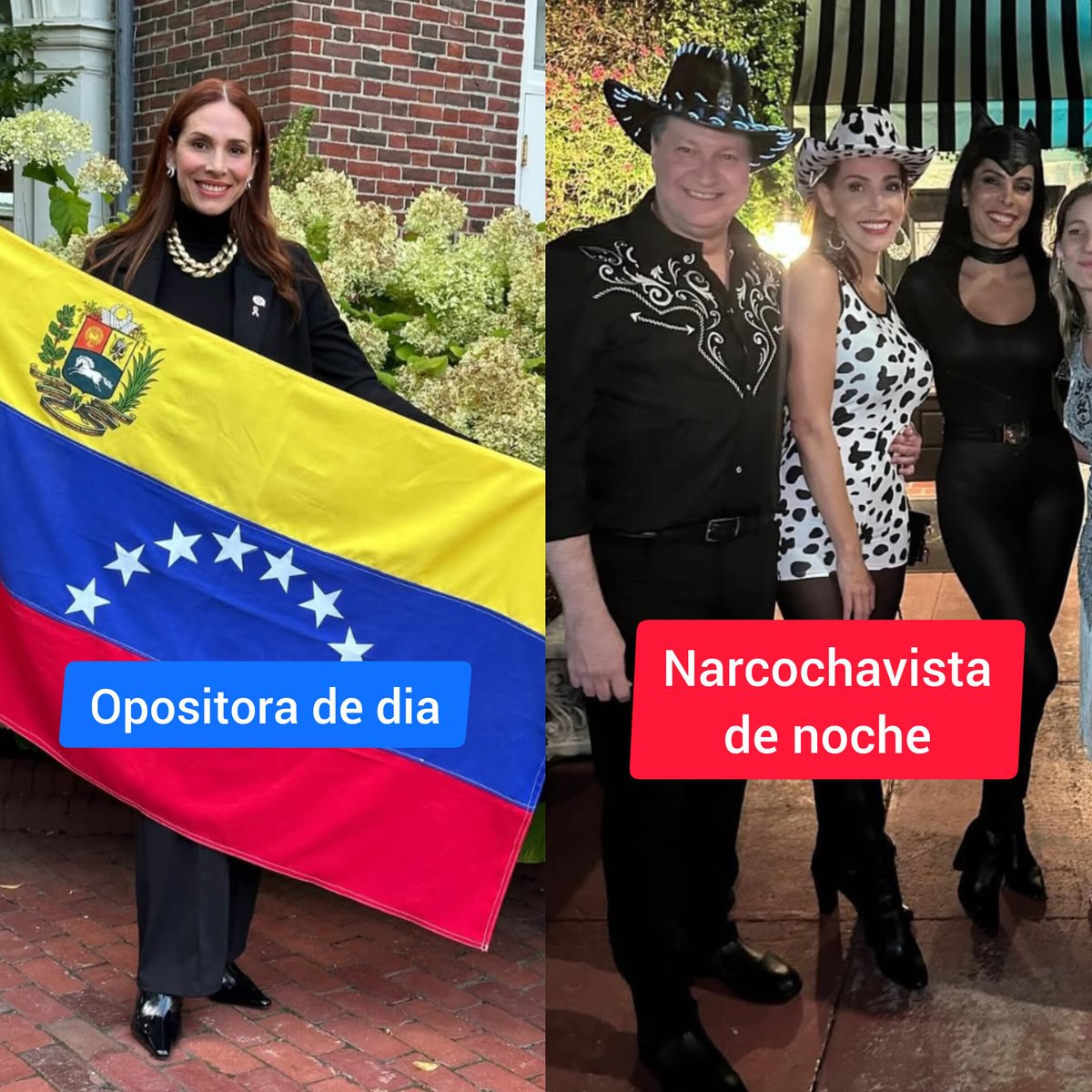 Típico caso de "enchufados" originarios, Grisel Del Valle Masso Casares opositora de dia y una perra narcochavista de noche lavando plata para el hermano en EE.UU. Mauricio Rafael Antonio Masso Casares, mano derecha del narcoterrorista José Alejandro Terán gobernador de La Guaira