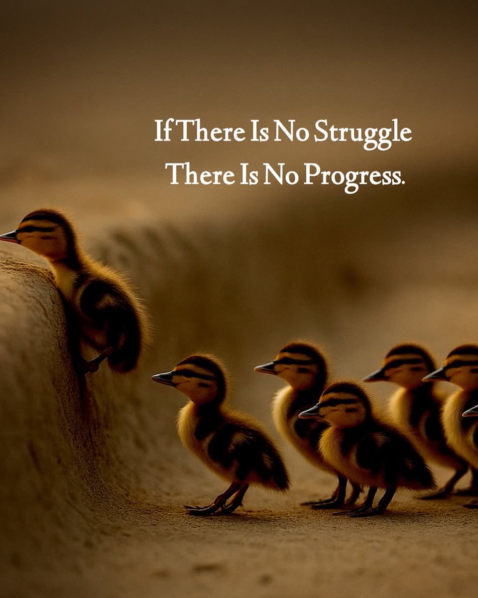 Mind Essentials (@mind_essentials) on Twitter photo 