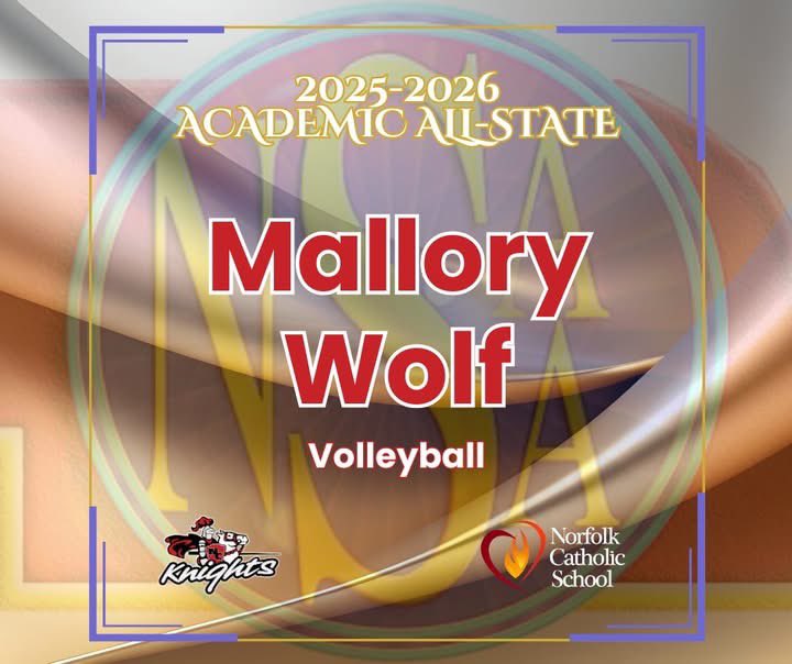 Lady Knights Volleyball tweet media