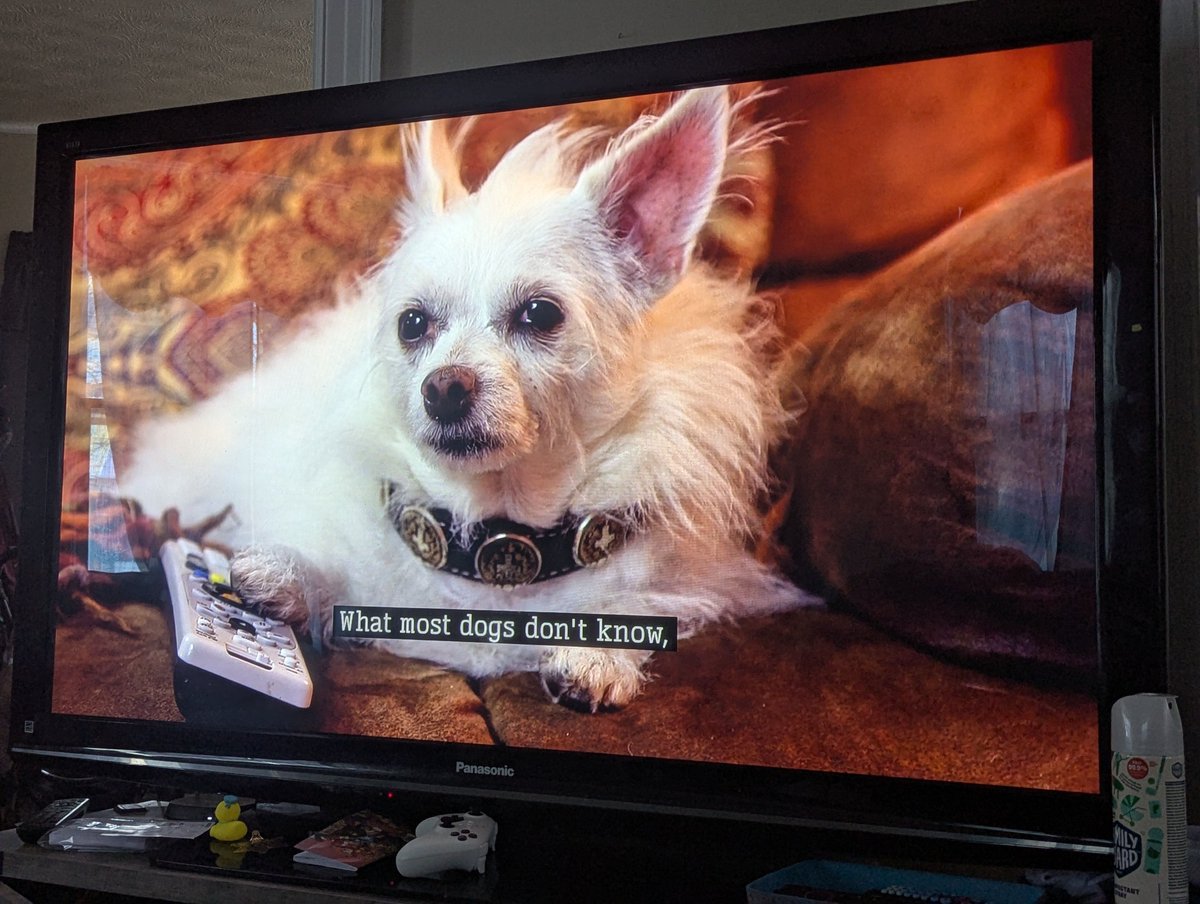 Warriorsofwasd's tweet photo. New Episode! The 3 Dogateers. A Christmas movie that will leave something special in your show. Join us for the review. https://t.co/XGpUXFljZa
#filmreview #tubi #trypod #filmsky #filmtweet https://t.co/sIXt3jghTW