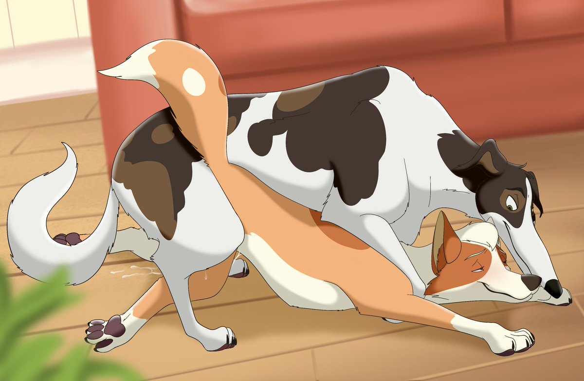 BlurryPanda's tweet photo. You can find the full story, which includes nine chapters and illustrations now on my subscribestar Page.

https://t.co/aWlsW94sqq

#nsfw #yiff #feral #canine #bluey #gangbang https://t.co/NXlgkb817K