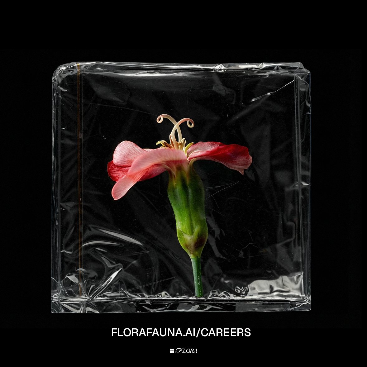 We've been growing rapidly at FLORA and are hiring for many roles across Engineering &amp; GTM.

If you want to build the next generation of creative tools for the world's best creatives, learn more about us on our careers page below.