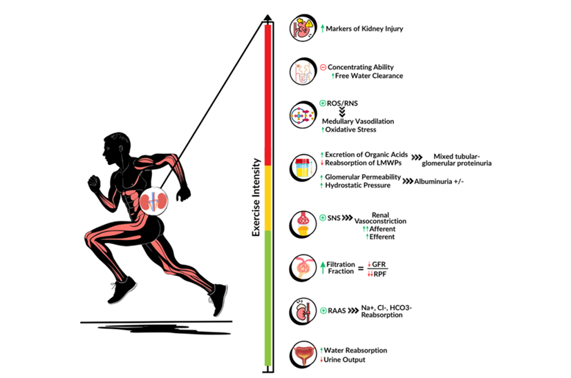 markusathome tweet media