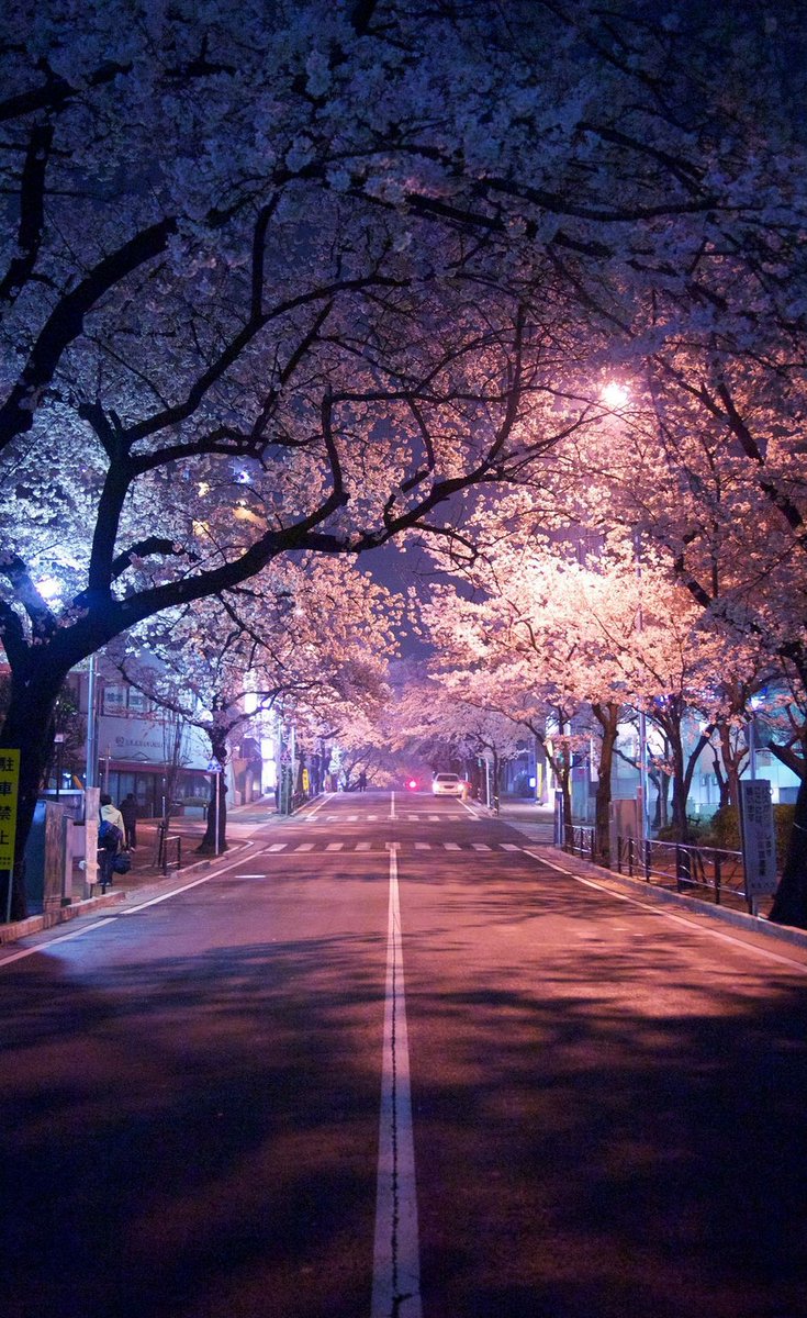 sinuu17's tweet image. やっほー やる気でない😪けど髪乾かして寝よ！ 🚶 👨‍👧‍👧