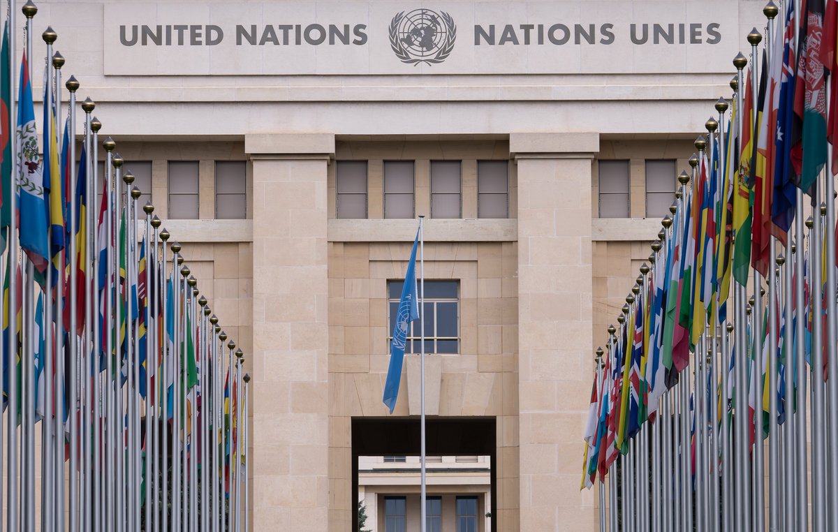 SuizaColombia's tweet image. 1/2
En Ginebra, todas las voces cuentan. Con casi todos los Estados miembros de la ONU reunidos en torno a la mesa, la diplomacia cara a cara genera confianza, empatía y soluciones reales. 
#GinebraInternacional