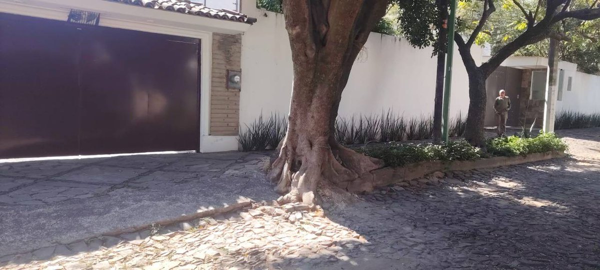 Gobierno de Zapopan tweet media