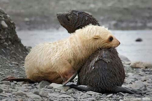 we may be different but you’re my bestest friend