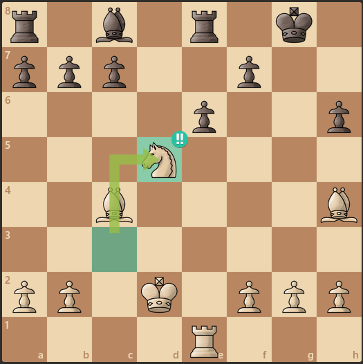 thank you chess dot com