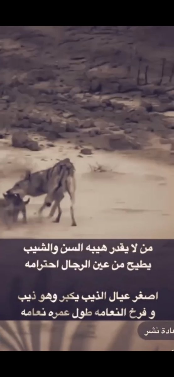 حمود الباهلي (@hmoed1432) on Twitter photo 