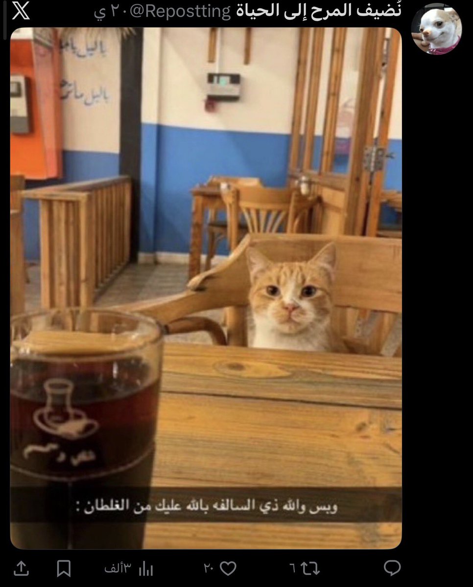 زهراء عدنان✨ tweet media