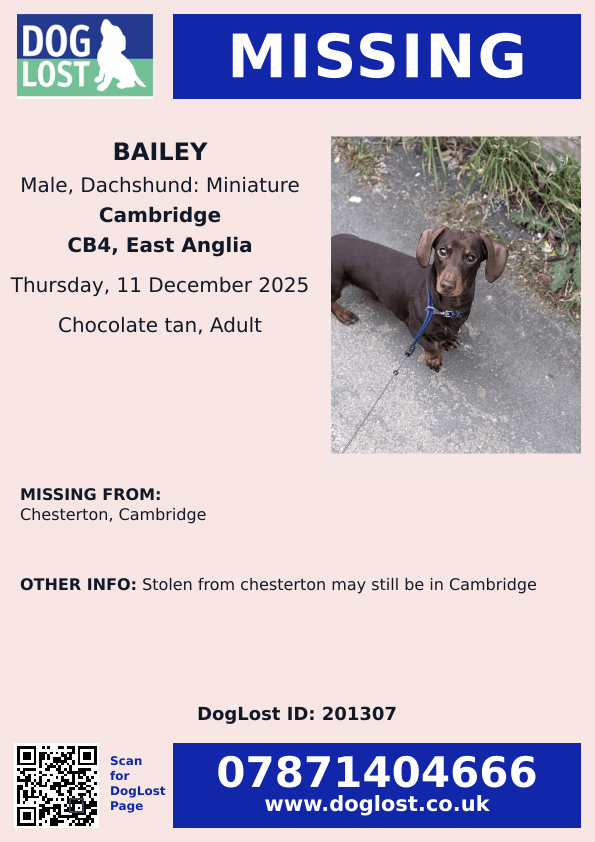 millypod1's tweet photo. 🆘11 DEC 2025 #Lost Bailey #ScanMe #STOLEN??
Dachshund: Miniature Male #SausageArmy
#Chesterton #Cambridge #CB4 #Cambridgeshire
Stolen from Chesterton may still be in Cambridge
https://t.co/zTMerreja4 https://t.co/RINUgL2e3N