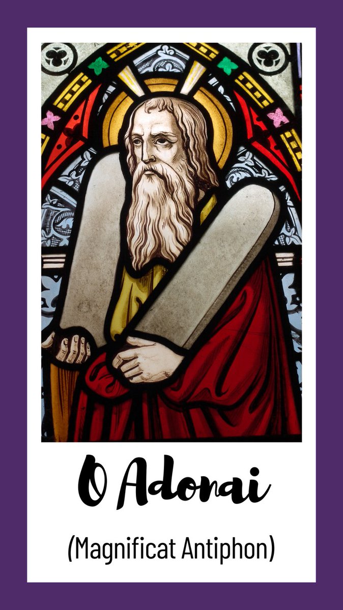 "O Adonai and leader of Israel, you appeared to Moses in a burning bush, and you gave him the Law on Sinai. O come and save us with your mighty power." - #MagnificatAntiphon

📷 Stained Glass Window of Moses / © SyYates / #GettyImages. #Catholic_Priest #CatholicPriestMedia