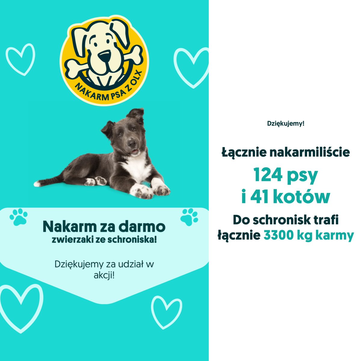 🐶 | Tegoroczna akcja „Nakarm Psa z OLX” dobiegła końca. Łącznie nakarmiono 124 psy i 41 kotów, a do schronisk trafi 3300 kg karmy.