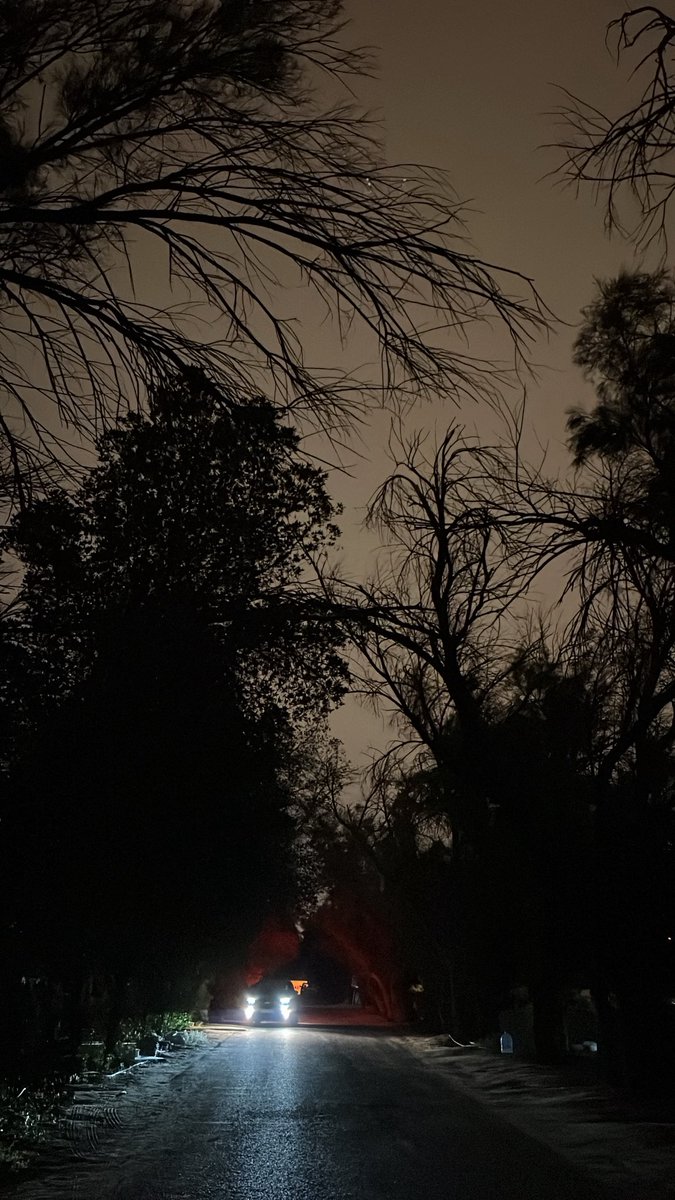 2ialv's tweet image. طوتك السنين الجرد يالشارع المهجور
حتيت الشجر ماحط بك للخُطى معبر

تلوم الغصن لو تكسره وقفة العصفور
واعذره ليا شحّ المطر والزمان أغبر

تعبنا على الارض الوسيعة وساع صدور
لو اللي شمال صدورنا ملّ واستكبر

يانور المساء من غبت فاقد مساء النور
أردّك ملام .. وتطلع بنظرتي مُجبر

أنا عفواً…