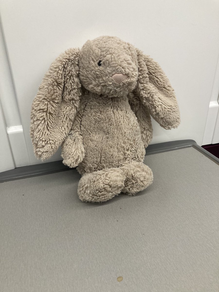 BUDD_music's tweet image. @WestMidRailway found this poor chap and his floppy ears on the 20.06 new st train towards Lichfield. 

Needs to find his way back home for Xmas