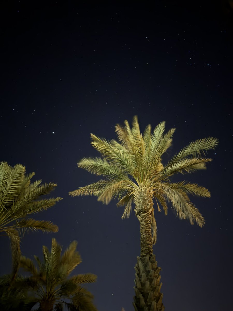 على بساط الليل نسري بالاحلام 
ونسامر نجوم السما بـ الاماني🌟🌴