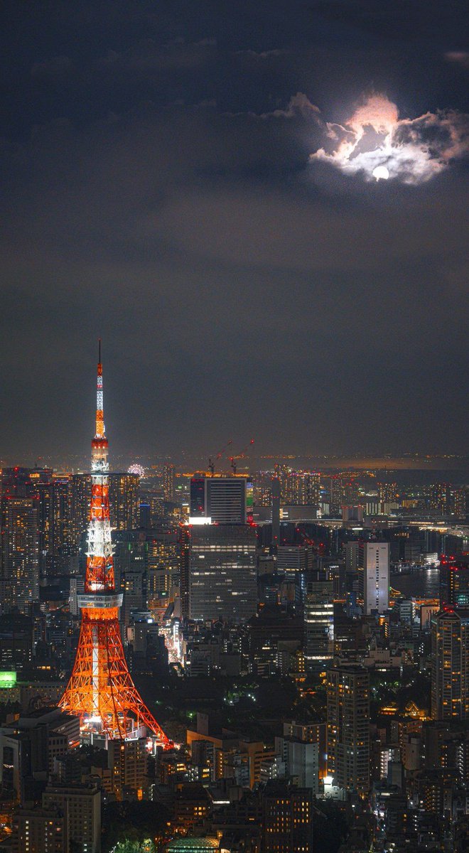 ThaisStore's tweet image. おはようございます☕ 気分いい〜✨。動画見よ📺。ご褒美スイーツにしよ🍰 ☕ 🌀