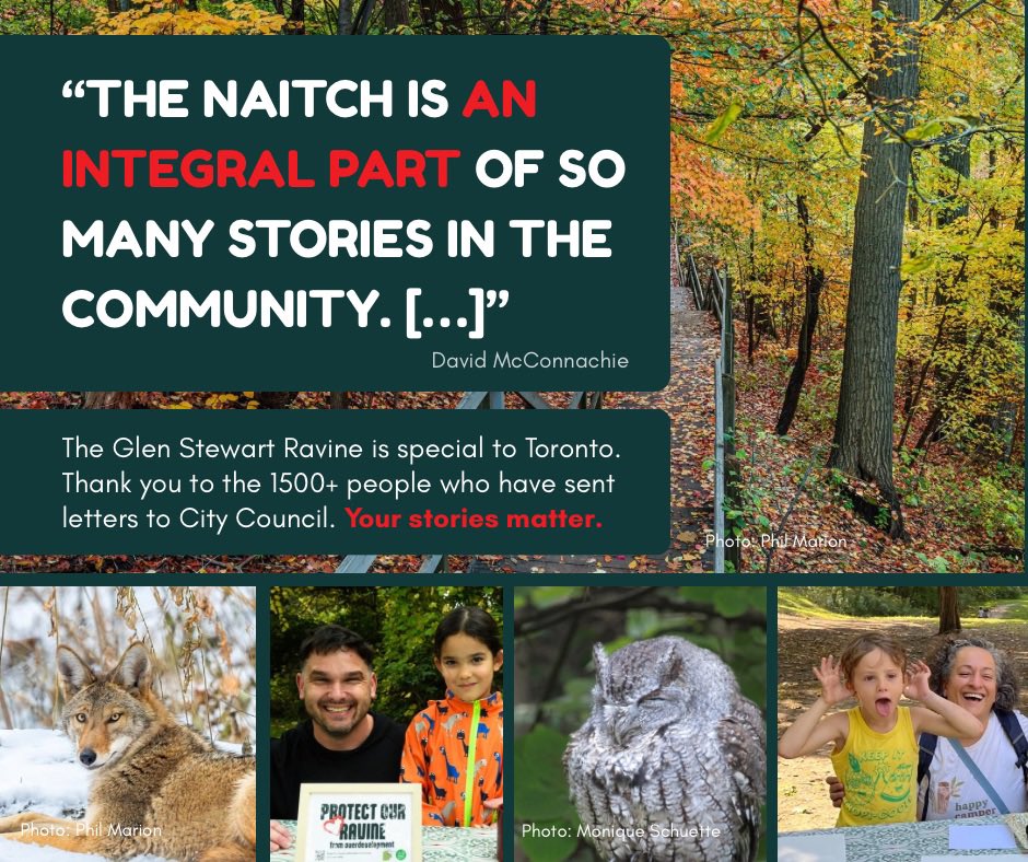 glenstewartto's tweet photo. Save the “Naitch” also called the “Secret Ravine”. Glen Stewart Ravine in Toronto’s east end an #environmentallysignificantarea #biodiversity #climateprotective #floodprotective #coolingheatwaves
#healing #sacredspace https://t.co/KwXybiOyMF