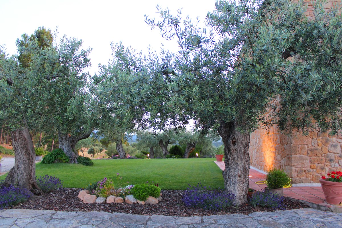 Raconets tweet media