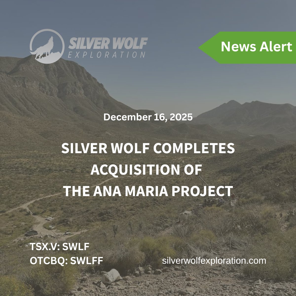 Silver Wolf Exploration tweet media