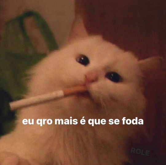 Camilo Andrés. tweet media