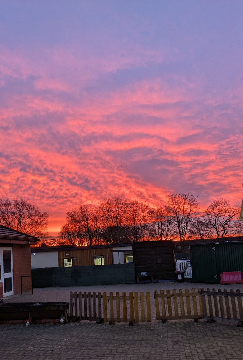 Arboretum Primary School tweet media