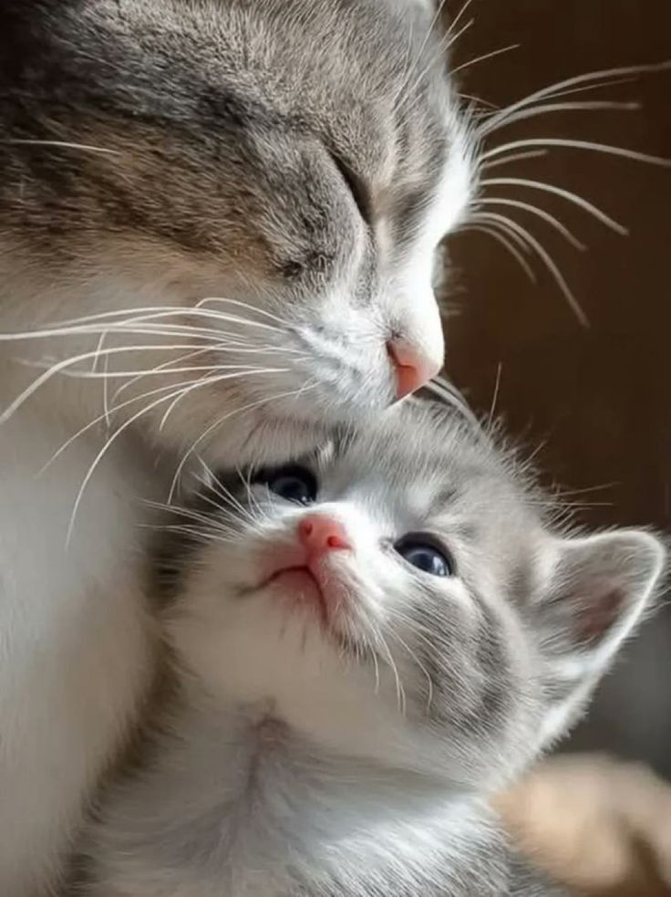 A love there is no cure for.