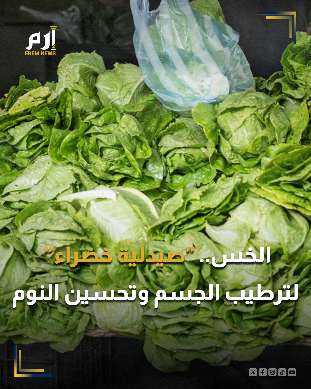 يُصنف الخس كأحد أشهى الخضراوات وأخفها على الجهاز الهضمي، ما يجعله رفيقًا مثاليًا لمختلف الوجبات الصحية.. : 