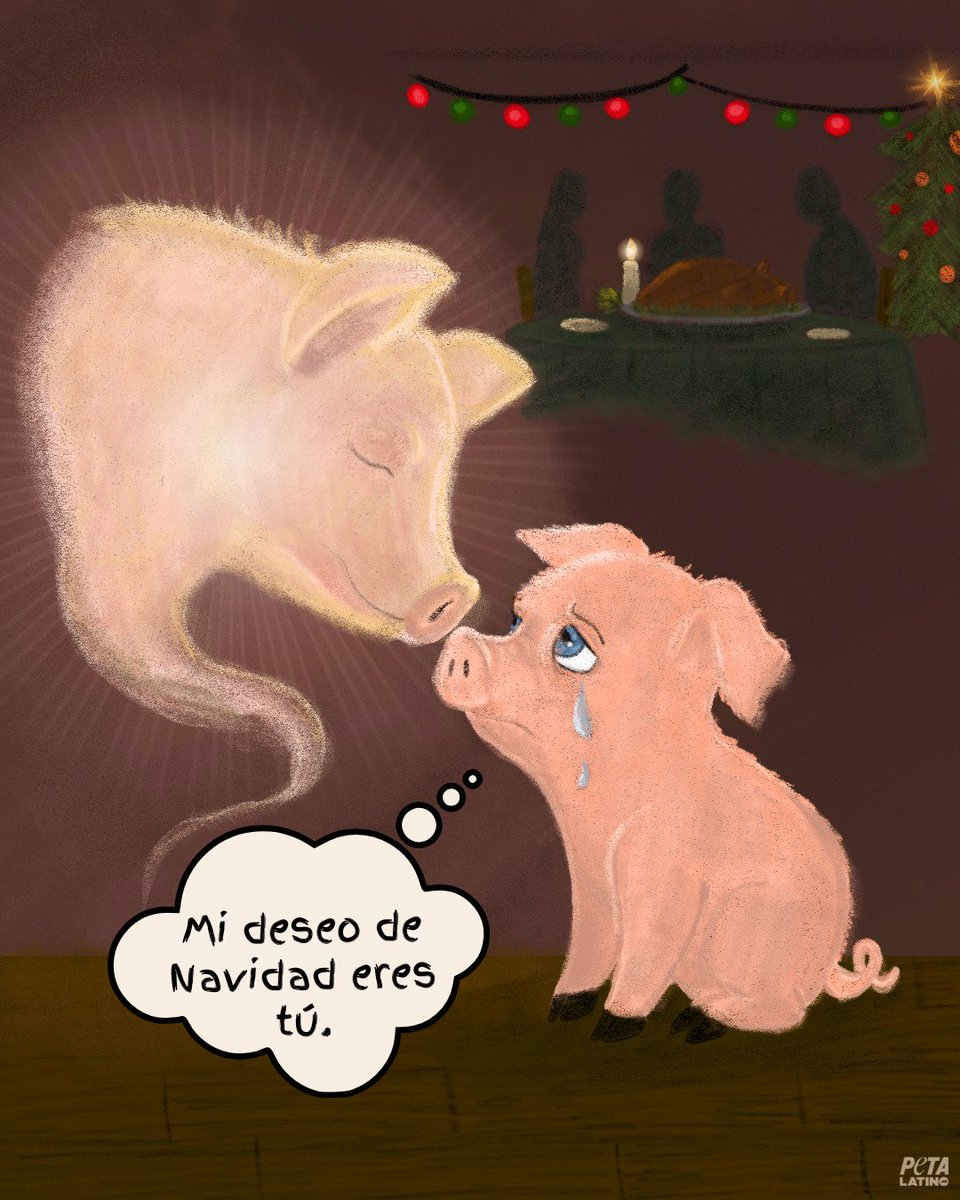 En cada lágrima de un cerdito huérfano hay una historia de amor y cariño interrumpida 🐷💔

Una tradición no debe costar una vida, ni dejar a un bebé sin su mamá.

Honremos su deseo eligiendo una cena de Nochebuena vegana 🌱🎄