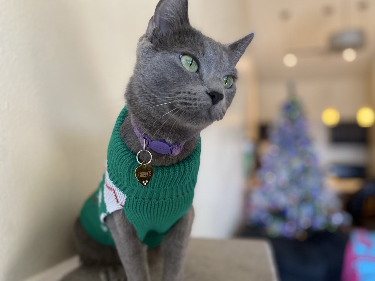 SpreeGG's tweet image. 🎄🎄🎄🎄