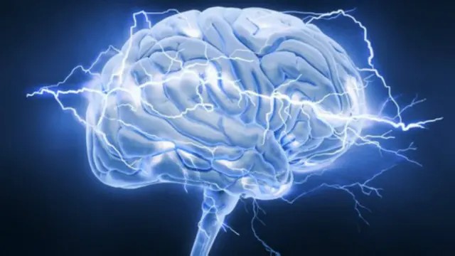 - المرونة العصبية-. 🧠
الدماغ ليس كمبيوتر ثابت من الأسلاك والصفائح، بل هو بيئه خصبه تنمو أو تذبل بحسب ما تزرع فيها كل يوم-.

"المرونه العصبيه ".
هي قدرة يتميز بها الدماغ على ان يُغيير نفسه من حيث (البنية والوظيفة والاتصال بين الخلايا العصبية) ..

-كل فكرة جديده، عادة، تجربة، أو