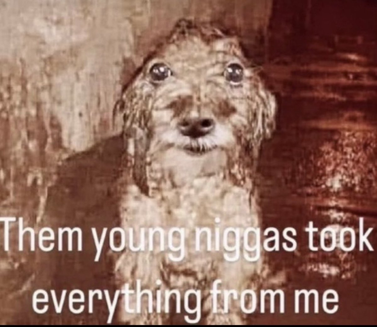 wlthdrawls's tweet image. 