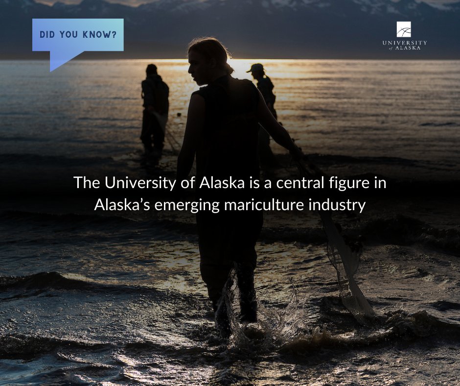 University of Alaska tweet media